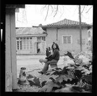 [Casona] : Quinta Normal