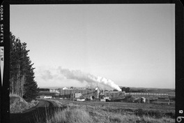 Iansa (Chile) : Planta Rapaco