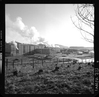 Iansa (Chile) : Planta Rapaco