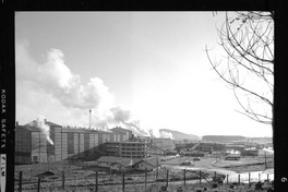 Iansa (Chile) : Planta Rapaco