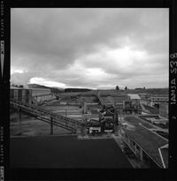 Iansa (Chile) : Planta Rapaco