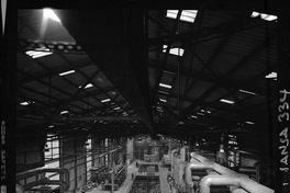 Iansa (Chile) : Planta Rapaco