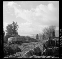 Iansa (Chile) : Planta Rapaco