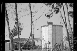 Iansa (Chile) : Planta Curicó