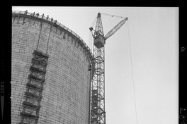 Iansa (Chile) : Planta Curicó