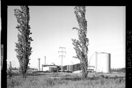 Iansa (Chile) : Planta Curicó