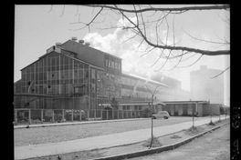 [Iansa (Chile) : Planta Linares]