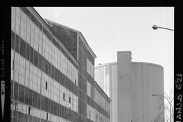 [Iansa (Chile) : Planta Linares]