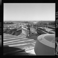 [Iansa (Chile) : Planta Linares]