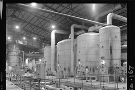 [Iansa (Chile) : Planta Linares]