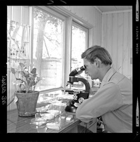 [Científico trabajando en el laboratorio del Campo Experimental Iansa]