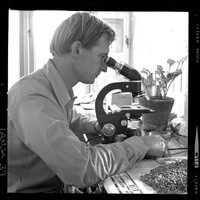 [Científico trabajando en el laboratorio del Campo Experimental Iansa]