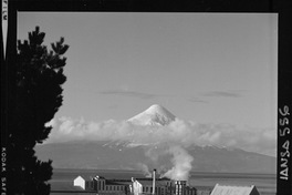 [Iansa (Chile) : Planta llanquihue]