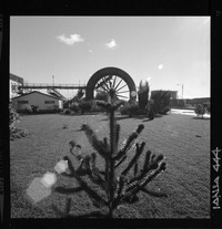 [Iansa (Chile) : Planta llanquihue]