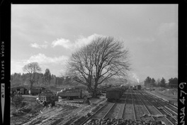 [Iansa (Chile) : Camiones cargando en vagones de acarreo para su transporte el producto de la cosecha de remolacha azucarera]