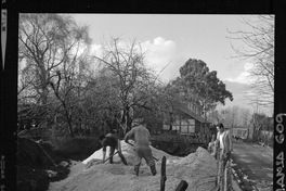 [Iansa (Chile) : Planta Llanquihue]