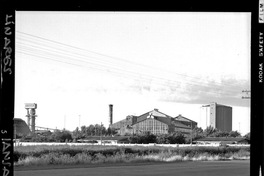 [Iansa (Chile) : Planta Cocharcas]