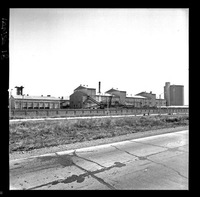 [Iansa (Chile) : Planta Cocharcas]