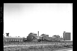 [Iansa (Chile) : Planta Cocharcas]