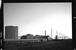 [Iansa (Chile) : Planta Cocharcas]