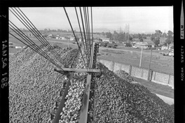 [Iansa (Chile) : Planta Cocharcas]