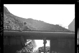 [Iansa (Chile) : Planta Cocharcas]