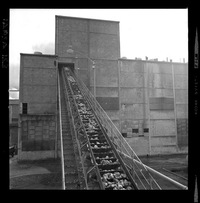 [Iansa (Chile) : Planta Cocharcas]