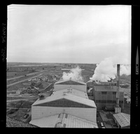 [Iansa (Chile) : Planta Cocharcas]