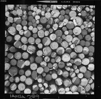 [Iansa (Chile) : Remolacha descoronada] Cocharcas]