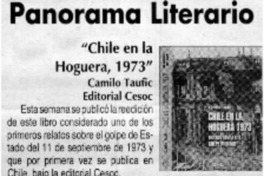 Panorama literario : Chile en la hoguera, 1973