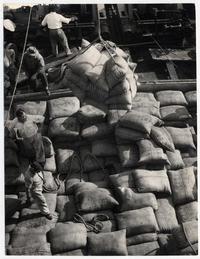 Desde un barco: desembarcando azúcar de caña para (CRAV)