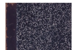 Puerto de San Antonio : Texto del proyecto