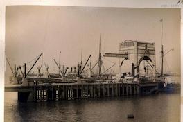 [Vista principal del muelle fiscal de Valparaíso]