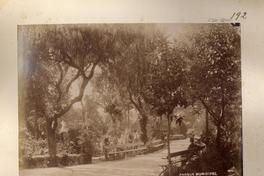 [Parque Municipal de Valparaíso, sector de paseo]