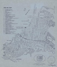 Viña del Mar  [material cartográfico]