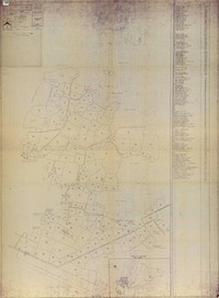 Plano castastral rural Isla de Pascua  [material cartográfico] Ministerio de Tierras y Colonización, Dirección de Tierras y Bienes Nacionales. Departamento de Mensura.