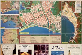 Viña del Mar  [material cartográfico]