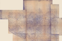 Quilpué  [material cartográfico]