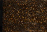 Escuela de Injenieros Mecánicos de la Armada de Talcahuano (Chile) P. Veas L.