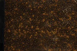 Escuela de Injenieros Mecánicos de la Armada de Talcahuano (Chile) P. Veas L.