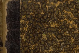 El problema nacional : bases para la reconstrucción de nuestro sistema escolar primario Darío E. Salas.