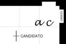 [Voto marcado con AC y con preferencia en un candidato]