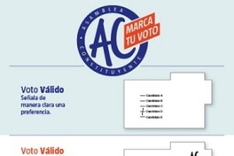 [Voto Válido, voto válido con objeción, voto nulo, voto blanco]