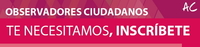 Observadores ciudadanos