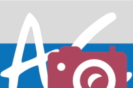 Observadores ciudadanos