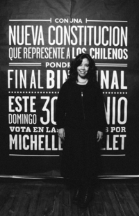 Con una nueva constitución que represente a los chilenos pondrá fin al binominal