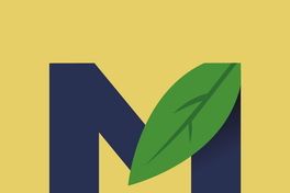 [Eme azul con hoja verde y fondo amarillo]