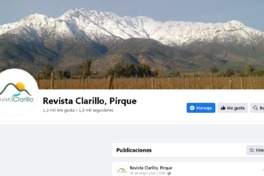 Revistaclarillo [recurso electrónico].