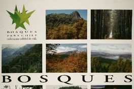Bosques para Chile cultivamos calidad de vida.