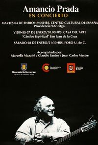 Amancio Prada en concierto.